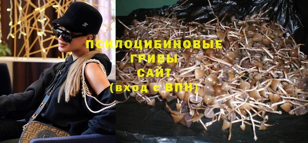 каннабис Богданович