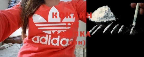 mix Богородицк