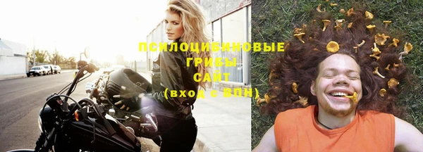 mix Богородицк